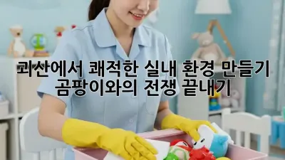 괴산에서 쾌적한 실내 환경 만들기: 곰팡이와의 전쟁 끝내기