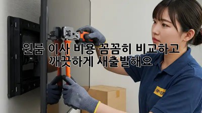 원룸 이사, 비용 꼼꼼히 비교하고 깨끗하게 새출발해요!